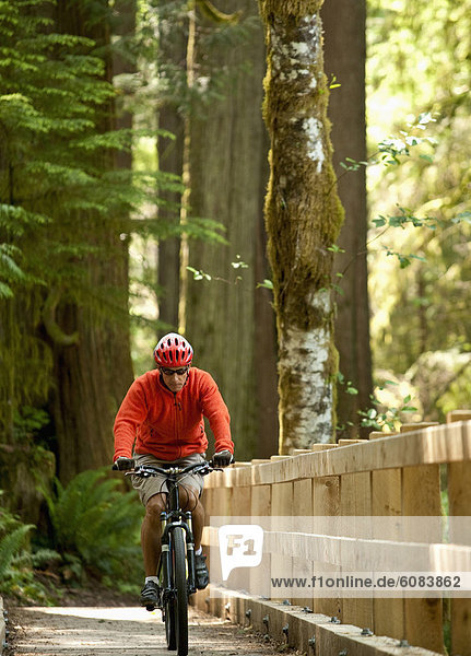 A single mountain biker riding across a wooden bridge in a forest.