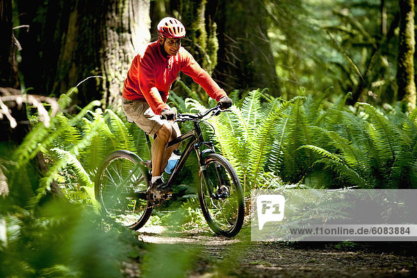 A man mountain bikes through tall ferns in a thick and mossy rain forest.