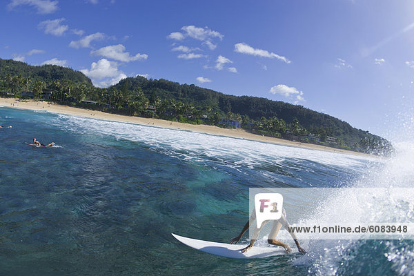 Fisheye  Frau  Ansicht  Hawaii  North Shore  Oahu  Pipeline  Wellenreiten  surfen