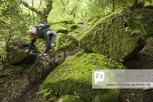 A man speeds past on his mountain bike through a mossy forest in England. (blurred motion)