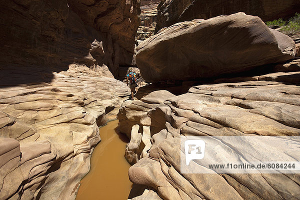 Felsbrocken  Wasser  Frau  Anordnung  wandern  Neugier  Schlucht  Utah