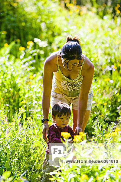 A mother walks with her 14 month old son while they admire a flower amongst a meadow of wildflowers in the Maroon Bells in Snowmass Wilderness.