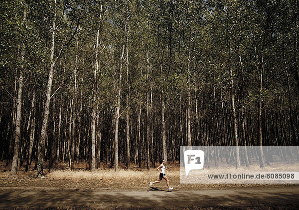 An athletic woman runs along a dirt path in front of rows of trees planted for harvest.