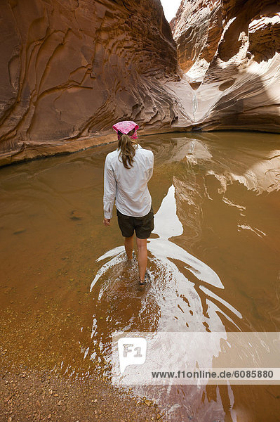 Wasser  Frau  waten  Fluss  wandern  Schwimmbad  jung  Colorado