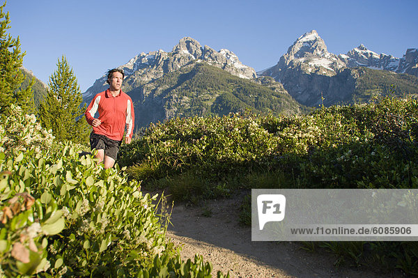 A young man trail runs in the early morning in the Grand Teton National Park  Wyoming.