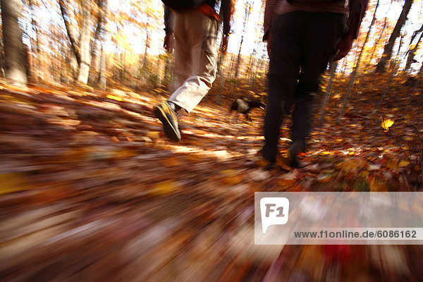 Bewegung  Fotografie  Bewegungsunschärfe  Wald  wandern  Herbst  North Carolina