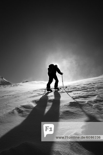 A skier skinning up Mount Baker  Washington with the sun behind him and a shadow cutting across the slope.