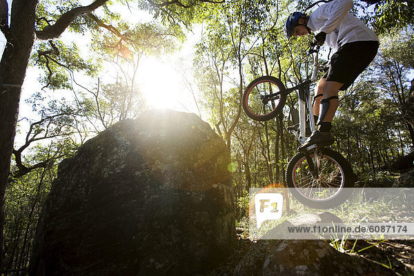 A Trials rider leaps onto a rock at Toohey Forest  Brisbane  Queensland  Australia.