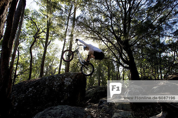 A Trials rider leaps onto a rock at Toohey Forest  Brisbane  Queensland  Australia.