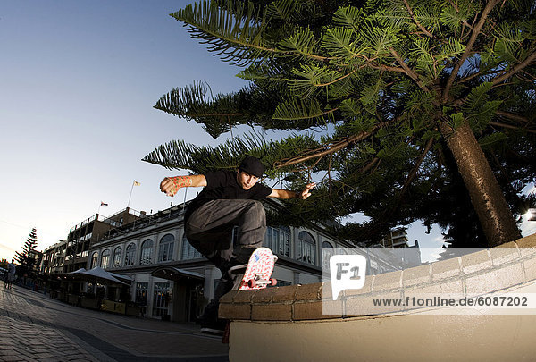 A skateboarder slides the pavement along a bench at Clovelly  New South Wales  Australia.