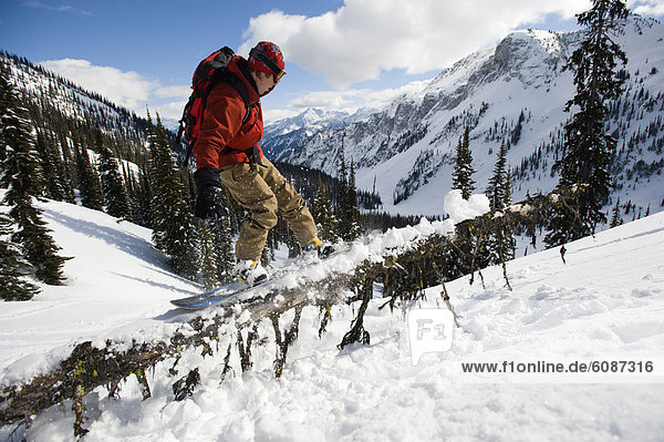 A backcountry snowboarder rail slides a downed tree in the Selkirk Mountains  Canada.