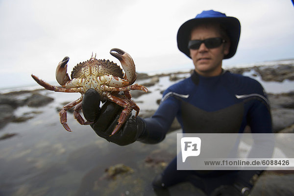 A man holds a crab on The Lost Coast  California.