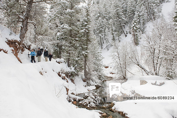 Rucksack  4  Mensch  Menschen  folgen  Schnee  vorwärts  Gabel  Diamant  Utah