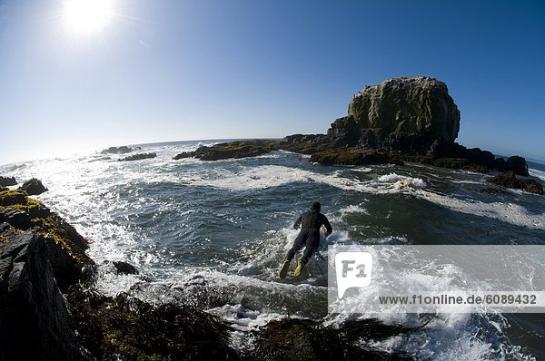 Felsbrocken Mann Ozean Surfboard Wellenreiten surfen Tauchanzug Kleidung springen Chile