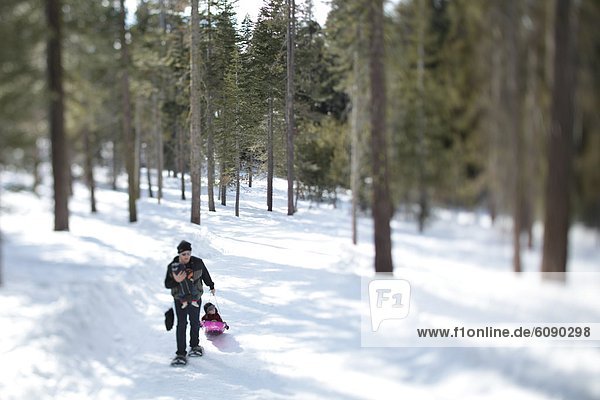 A father snowshoe with an infant and a toddler in the snow covered wilderness of Lake Tahoe  Calfornia.
