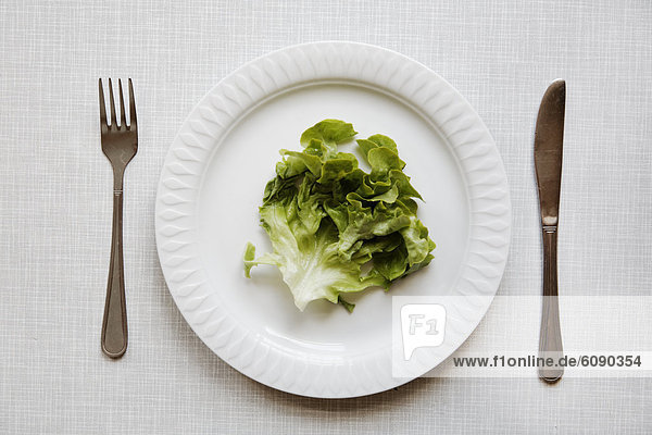 Deutschland  Salat auf Teller mit Gabel und Messer