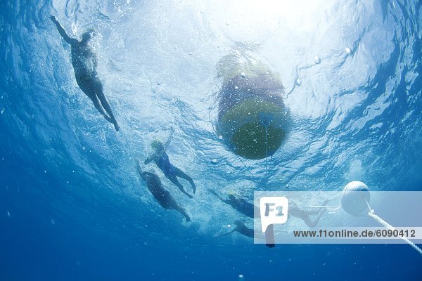 Tropisch Tropen subtropisch Wasser Ozean Unterwasseraufnahme Insel Ansicht Fiji Schwimmwettkampf Wettschwimmen Wettschwimmen