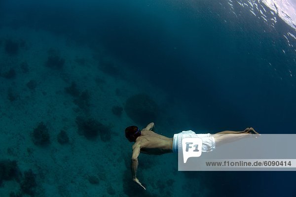 Underwater view of a man swimming deep into the tropical waters off Mana Island  Fiji.