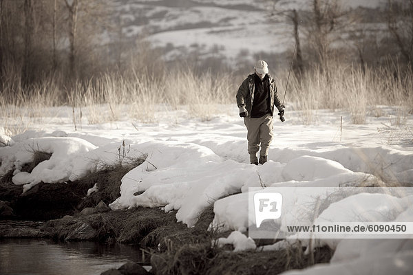 An experienced fisherman walks through the snow to fly fish the Provo River in Utah