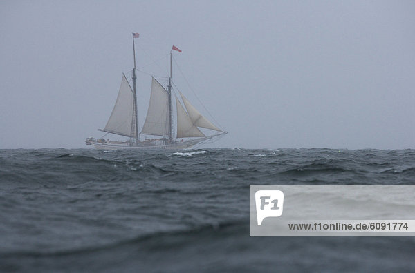 A schooner sails in heavy weather in Penobscot Bay  Maine.