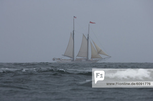 A schooner sails in heavy weather in Penobscot Bay  Maine.