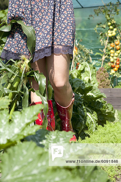 Woman with wellington boot  standing in allotment garden