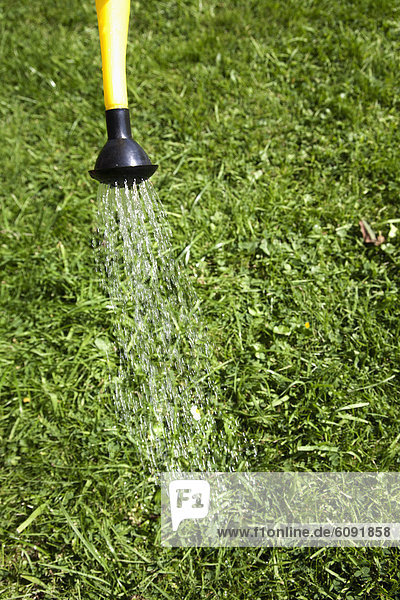 Deutschland  Hamburg  Wasser aus der Gießkanne auf Gras