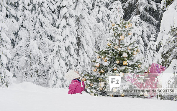 Österreich,  Salzburger Land,  Mädchen beobachten Weihnachtsbaum im Schnee