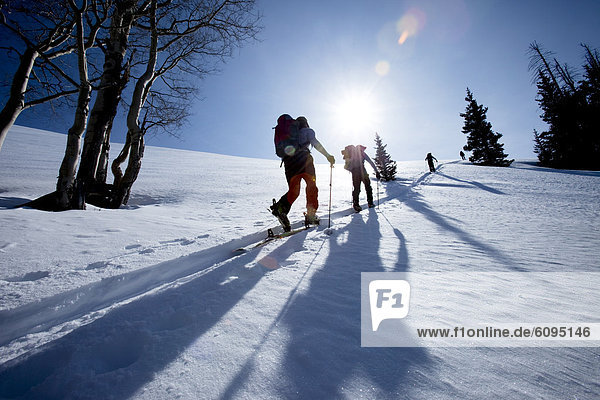 niedrig  Mann  4  Silhouette  Tagesausflug  Ski  unbewohnte  entlegene Gegend  Winkel