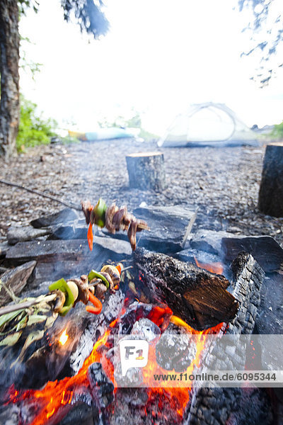 Reise über camping Feuer Koch jung Schaschlik Kebab Idaho