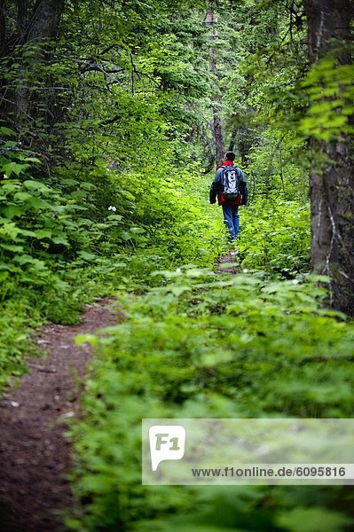 A young man walks along a trail in Glacier National Park  MT.