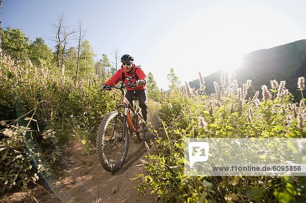 A young man rides his mountain bike on a trail in Big Cottonwood Canyon  near Salt Lake City  UT.
