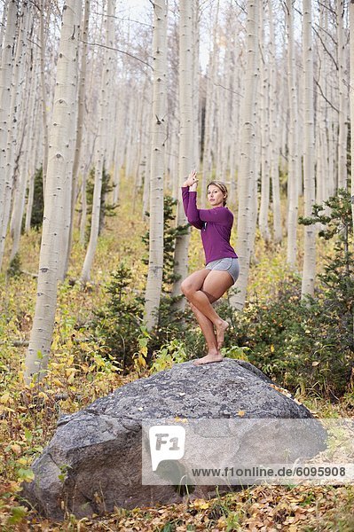 Felsbrocken  Frau  groß  großes  großer  große  großen  zeigen  jung  Yoga  Pappel  Schlucht  Pose