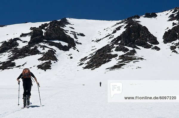During his last ski tour for the season  a young man skins up for the summit in June Lake  California.