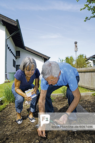 Deutschland  Bayern  Seniorenpaar Sämling im Garten
