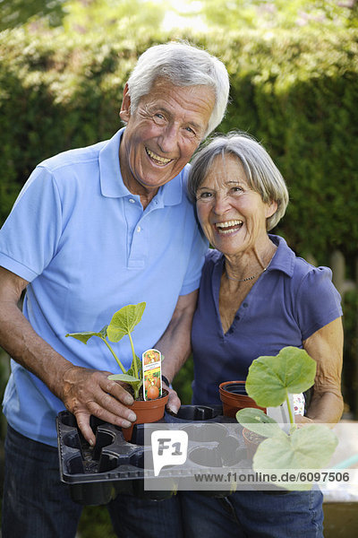 Germany  Bavaria  Senior couple with tray of seedlings in garden