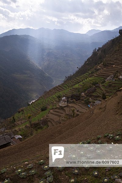 Markierung  Dorf  Kohl  Veranda  Nepal