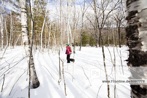 nahe  Frau  folgen  Bundesstraße  Schneeschuh  New Hampshire