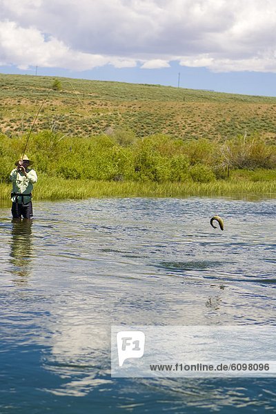Mann  Kampf  groß  großes  großer  große  großen  Schinken  Gabel  Forelle  Wyoming