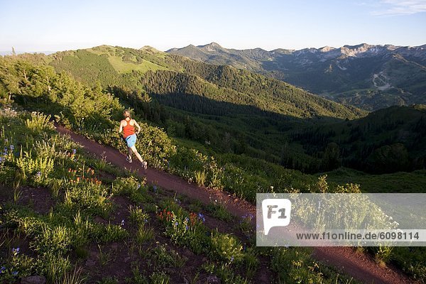 A woman trail running on the crest trail. Big Cottonwood Canyon  Utah