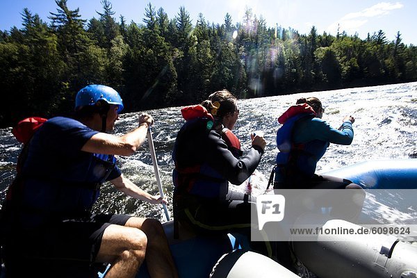 A group of adults whitewater rafting in Maine.