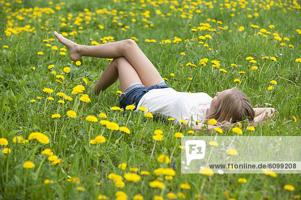 Österreich  Teenagermädchen im Blumenfeld liegend