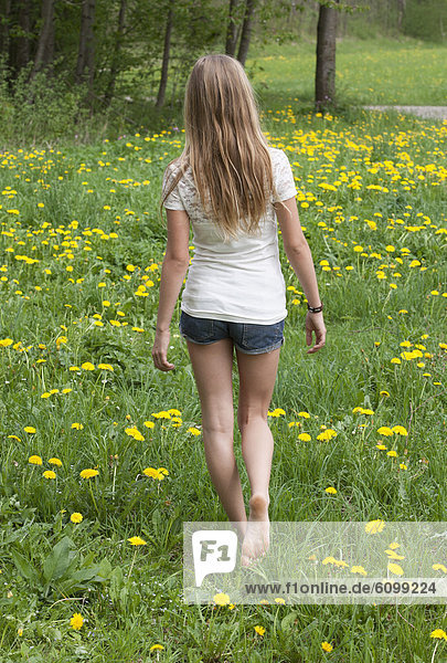 Österreich  Teenagermädchen beim Spaziergang im Blumenfeld