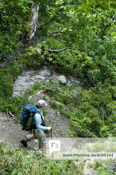 Woman hiking  Shiretoko National Park  Hokkaido  Japan.