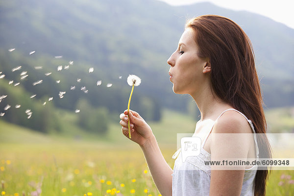 Austria  Young woman blowing dandelion in field of flowers