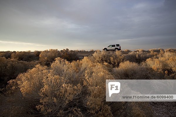 An SUV rests amid sagebrush in Utah's desert.