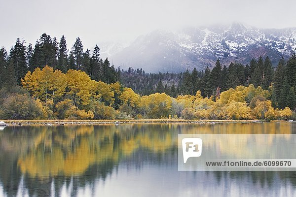 Mount Tallac with new snow and fall foliage reflecting in Fallen Leaf lake near Lake Tahoe in California