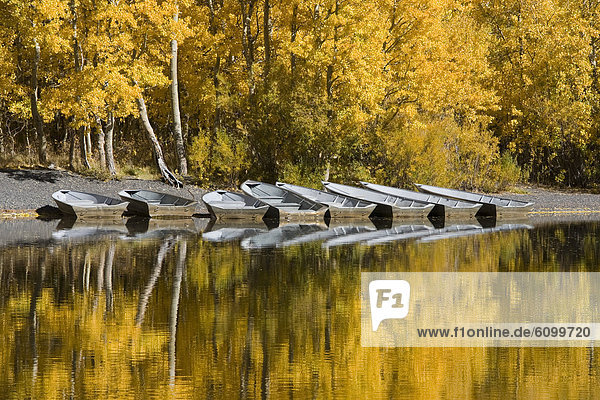 A row of fishing boats and autumn aspens trees reflecting in Silver Lake in the Sierra mountains of California