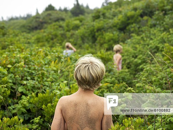 siblings search for wild blueberries