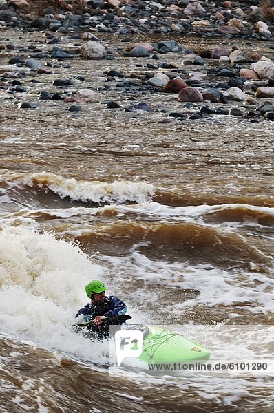 A whitewater kayaker surfs and plays in the waves of Ledge Rapid on the Salt River  AZ.
